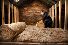 Best Insulation for New Construction  in Wellington, TX